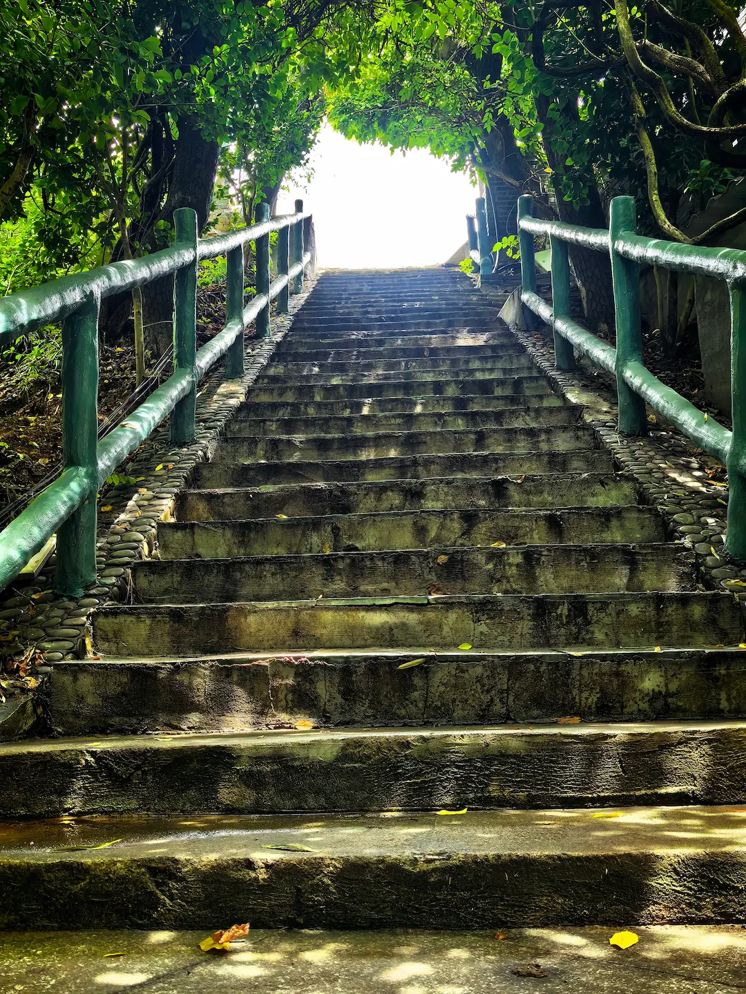 石阶山道
